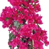 Drillingsblume (Bougainvillea glabra 'Sanderiana') D 21 H 70 cm
