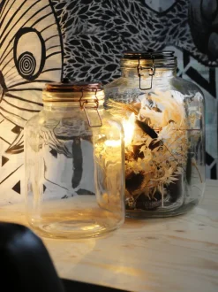 Duif Pflanzenterrarium Liz mit LED-Beleuchtung D 17 H 27 cm