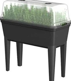 Easyday Anzuchtkasten mit Deckel 78 x 76 x 37 cm