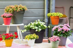 Easyday Blumentopf Smile D 39 cm H 34,7 cm schwarz