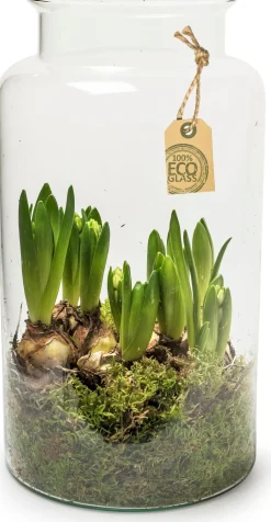 Eco Flasche Nobles D 19 H 35 cm