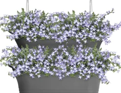 Elho Balkonkasten Corsica anthrazit 51 x 17 x 23 cm