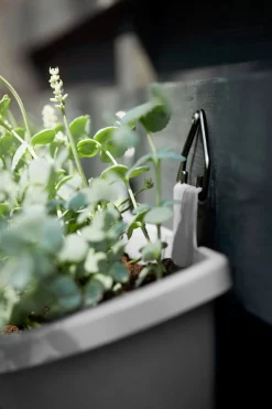 Elho Balkonkasten Corsica anthrazit 51 x 17 x 23 cm