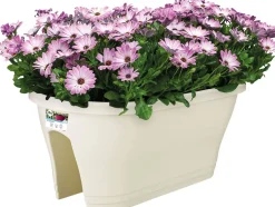 Elho Balkonkasten Corsica weiß 58 x 29,6 x 24 cm