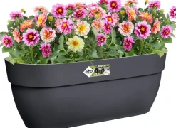 Elho Balkonkasten Vibia Easyhanger anthrazit 46 x 24,1 x 26,5 cm