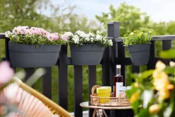 Elho Balkonkasten Vibia Easyhanger anthrazit 46 x 24,1 x 26,5 cm