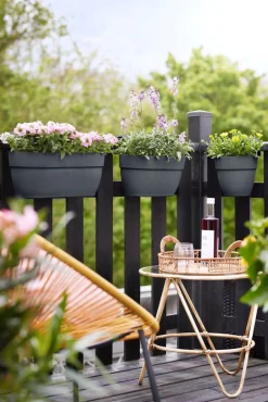 Elho Balkonkasten Vibia Easyhanger anthrazit 46 x 24,1 x 26,5 cm