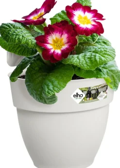 Elho Balkonkasten Vibia Easyhanger weiß 20,5 x 24,1 x 26,5 cm