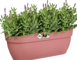 Elho Balkonkasten Vibia Easyhanger rosa 46 x 24,1 x 26,5 cm