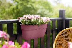 Elho Balkonkasten Vibia Easyhanger rosa 46 x 24,1 x 26,5 cm