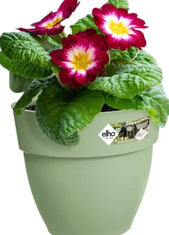 Elho Balkonkasten Vibia Easyhanger grün 20,5 x 24,1 x 26,5 cm