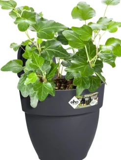 Elho Balkonkasten Vibia Easyhanger anthrazit 20,5 x 24,1 x 26,5 cm