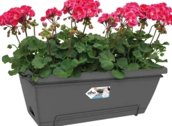 Elho Barcelona Balkonkasten XL all-in-1 55 x 32,2 x 22,7 cm anthrazit