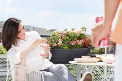 Elho Barcelona Balkonkasten XL all-in-1 55 x 32,2 x 22,7 cm anthrazit