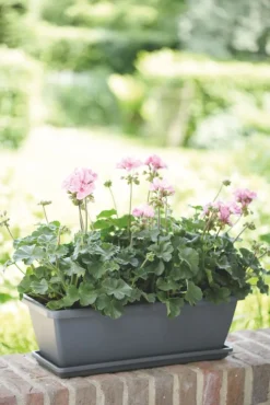 Elho Barcelona Balkonkasten Untersetzer 90 cm anthrazit