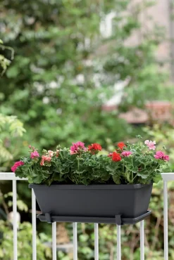 Elho Barcelona Balkonkasten 70 cm anthrazit