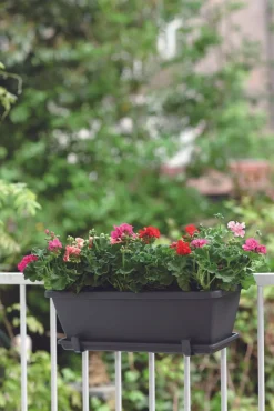 Elho Barcelona Balkonkasten Untersetzer 70 cm anthrazit