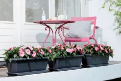 Elho Barcelona XL Blumenkasten 60 cm anthrazit