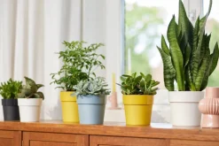 Elho Blumentopf B. for original D 22 cm H 20,3 cm ocker