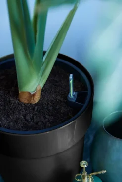 Elho Blumentopf B. for original Liv D 22 cm H 20,3 cm schwarz