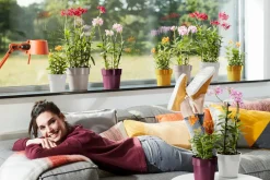 Elho Blumentopf B. for original D 14 cm H 12,8 cm grau