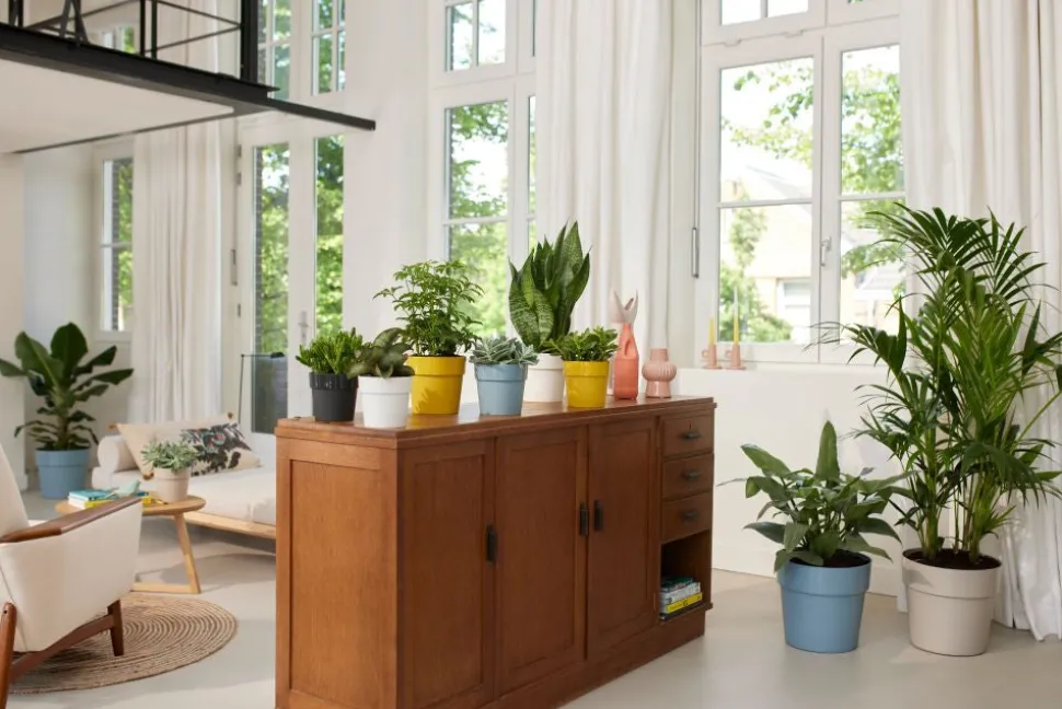 Elho Blumentopf B. for original Liv D 14 cm H 12,8 cm schwarz