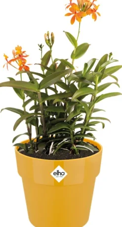 Elho Blumentopf B. for original D 29,5 cm H 27,2 cm ocker