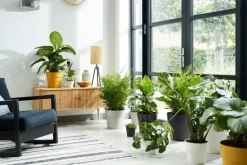 Elho Blumentopf B for original D 14 cm H 12,8 cm gelb