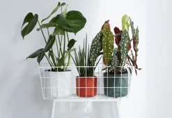 Elho Blumentopf B. for soft D 13,8 cm H 12,5 cm weiß