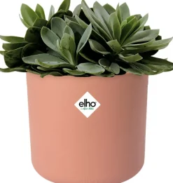 Elho Blumentopf B. for soft D 13,8 cm H 12,5 cm rosa