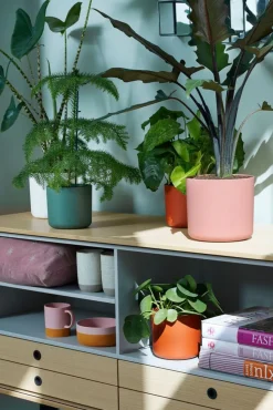 Elho Blumentopf B. for soft D 16 cm H 14,9 cm rosa