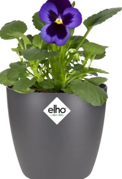 Elho Blumentopf Brussels rund mini D 11 cm H 9,7 cm anthrazit