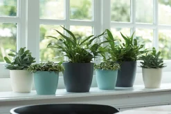 Elho Blumentopf Brussels rund D 22,3 cm H 20,5 cm anthrazit