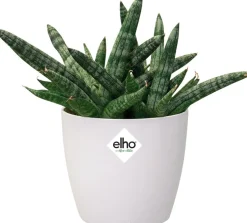 Elho Blumentopf Brussels rund mini D 10,2 cm H 8,7 cm weiß
