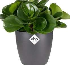 Elho Blumentopf Brussels rund mini D 13 cm H 11,4 cm anthrazit