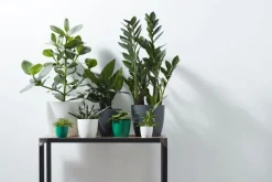 Elho Blumentopf Brussels rund D 13,6 cm H 12,5 cm weiß