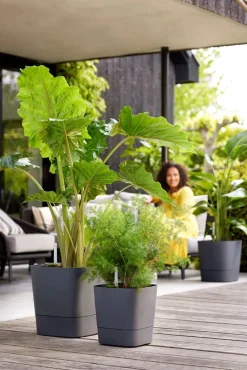 Elho Blumentopf greensense aqua care grau 38 x 38 x 39 cm