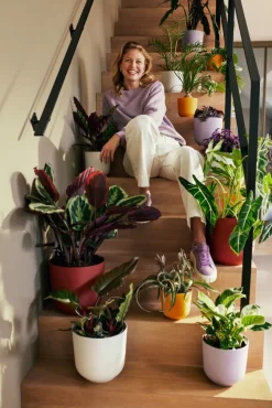 Elho Blumentopf Jazz gelb D 14,2 H 13,1 cm