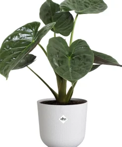 Elho Blumentopf Jazz weiß D 26 H 24,2 cm