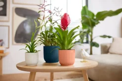 Elho Blumentopf Vibes D 14,1 cm H 12,9 cm blau