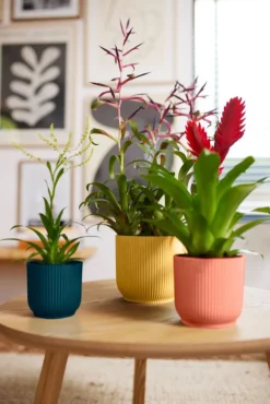 Elho Blumentopf Vibes D 16,1 cm H 14,8 cm rosa