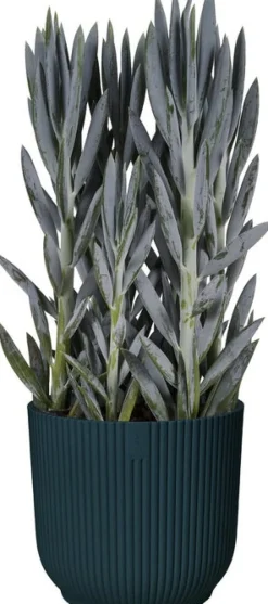 Elho Blumentopf Vibes D 18,3 cm H 16,8 cm blau