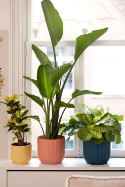 Elho Blumentopf Vibes D 18,3 cm H 16,8 cm blau