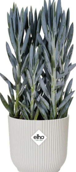 Elho Blumentopf Vibes weiß D 16,1 H 14,8 cm