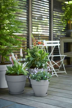 Elho Blumentopf Vibia Campana grau D 25 H 21 cm