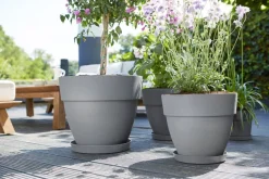 Elho Blumentopf Vibia Campana grau D 25 H 21 cm