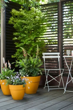 Elho Blumentopf Vibia Campana gelb D 30 H 26 cm