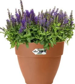 Elho Blumentopf Vibia terracotta D 30 H 25 cm