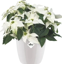 Elho Brussels Diamond Blumentopf rund 14 cm weiß
