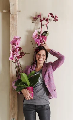 Elho Brussels Diamond Orchideentopf fuchsia D 12,7 H 15,2 cm